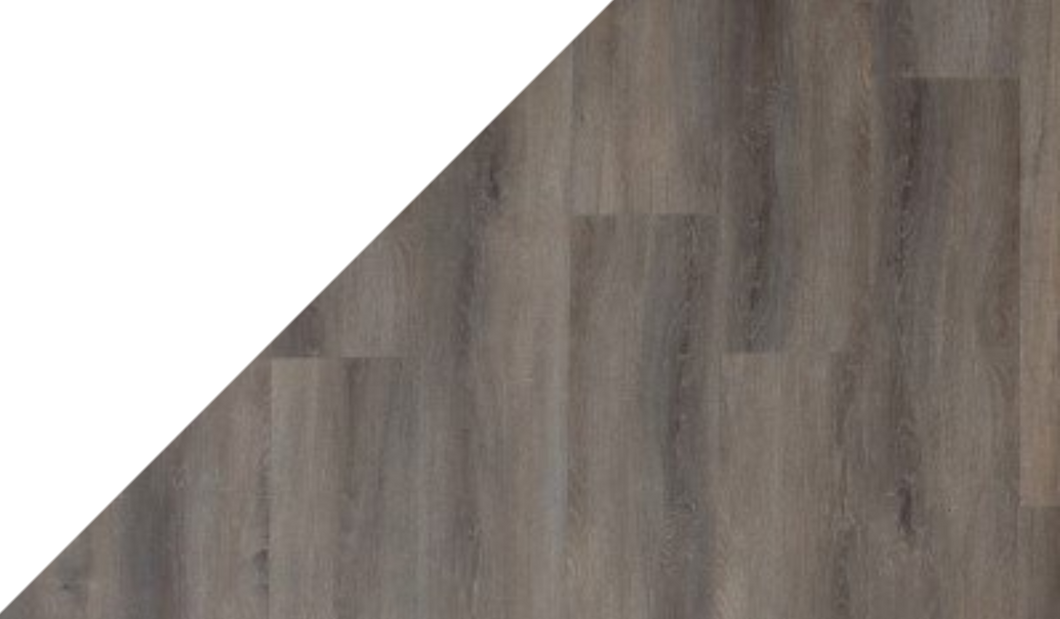 Gelasta Arizona 8010