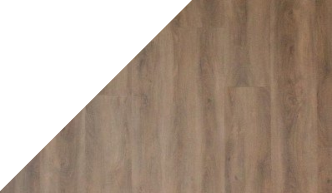 Gelasta Arizona 8011