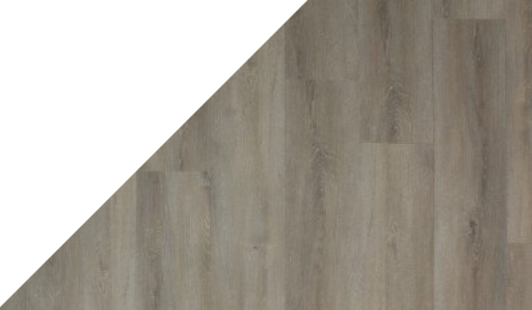 Gelasta Arizona 8012