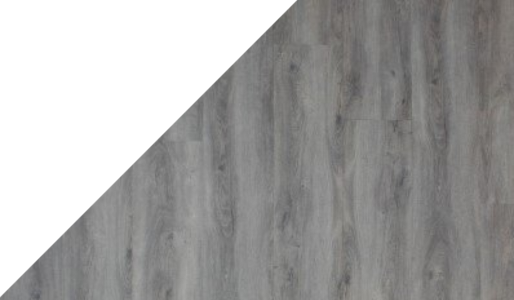 Gelasta Arizona 8013