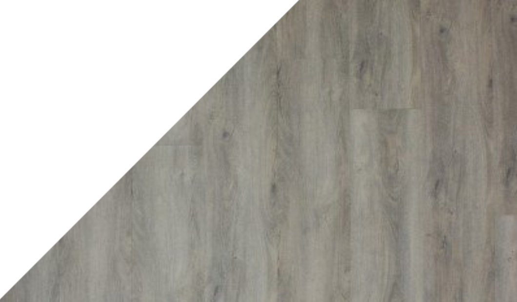 Gelasta Arizona 8016