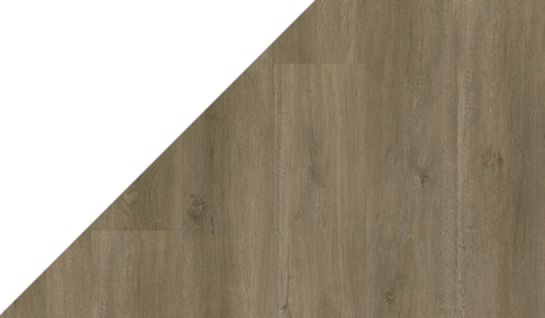 Gelasta Callisto 4103