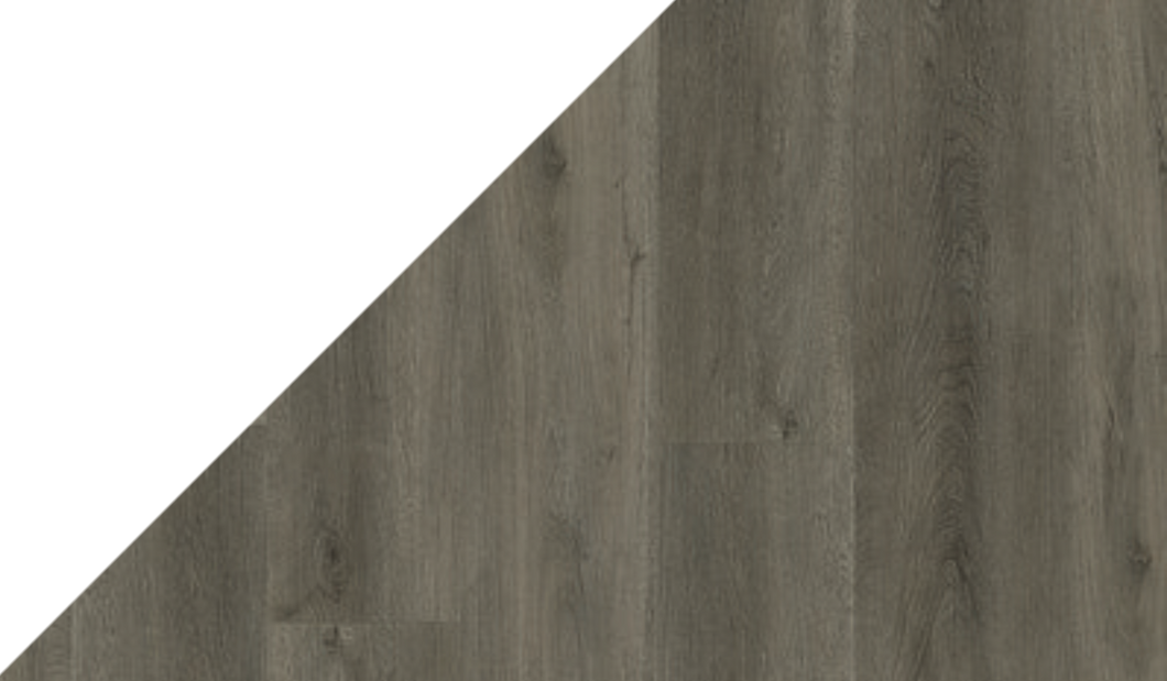 Gelasta Authentic-4804