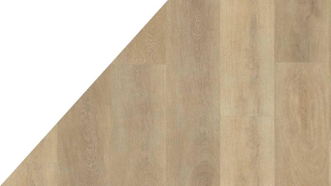 Belakos The Rigid 80