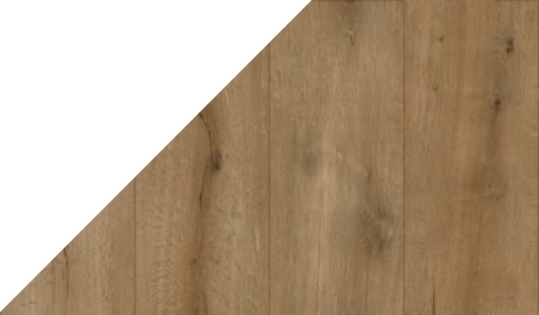 Gelasta Callisto 4100