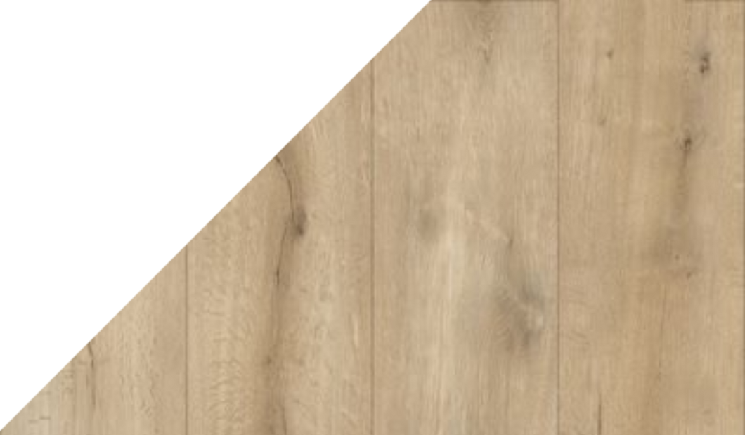 Gelasta Callisto 4101