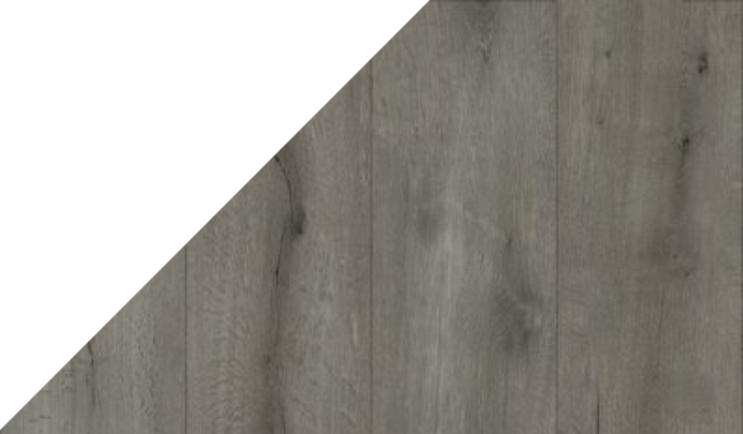 Gelasta Callisto 4103