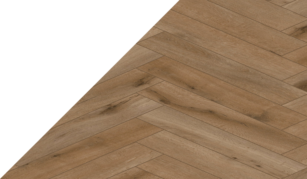 Gelasta Callisto visgraat 4200