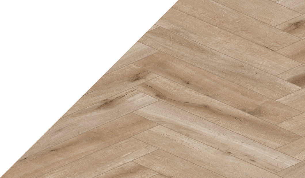 Gelasta Callisto visgraat 4201