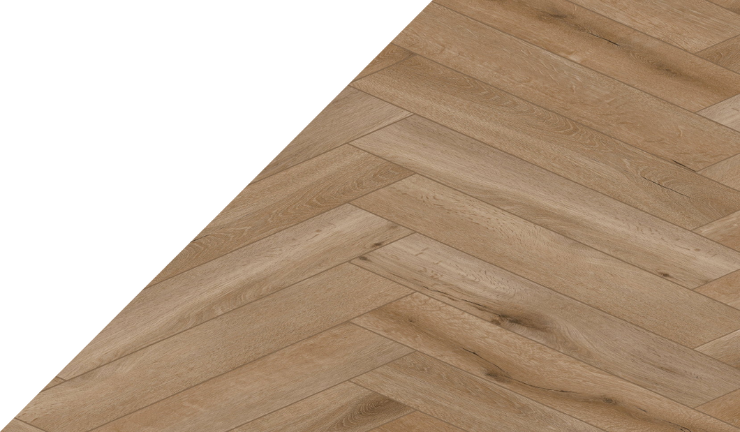 Gelasta Callisto visgraat 4202