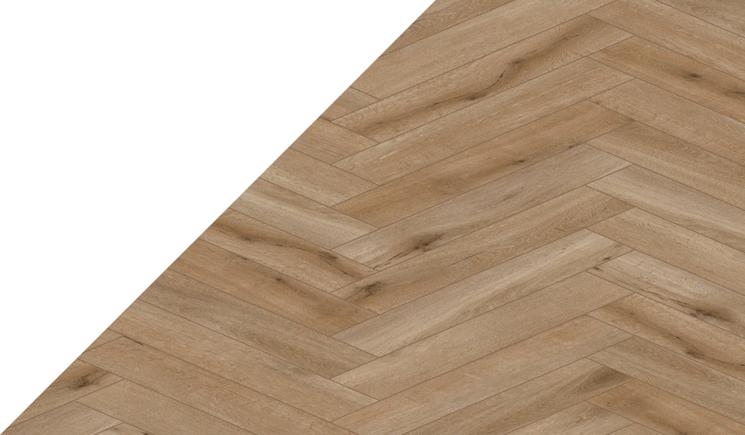 Gelasta Callisto visgraat 5202 (klik)