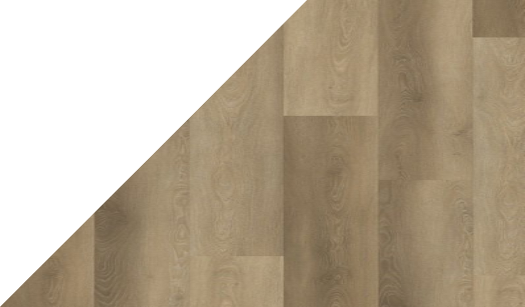 Gelasta Excellent XL 8650