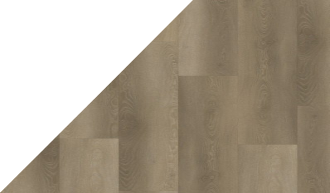 Gelasta Excellent XL 8651