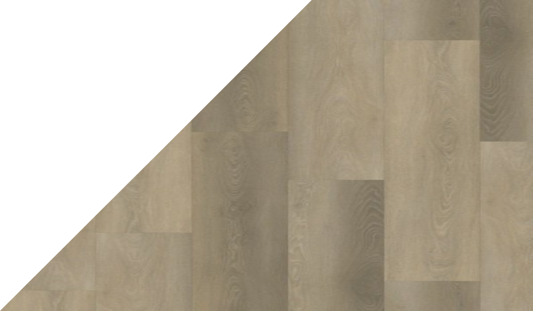 Gelasta Excellent XL 8652