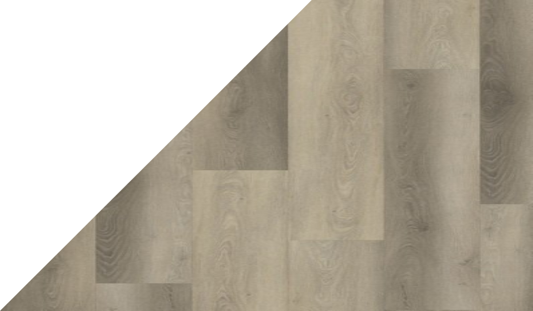 Gelasta Excellent XL 8653