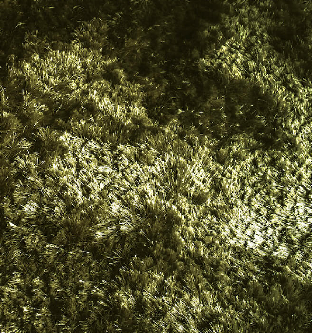 Carpetlinq Budapest 02 (Bukit 02)