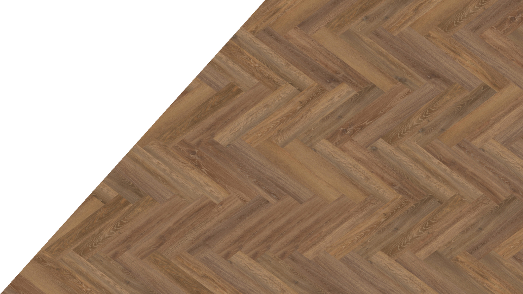 Mflor Parva Oak Liguria