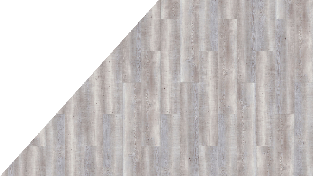 Mflor Woburn woods Delamere pine