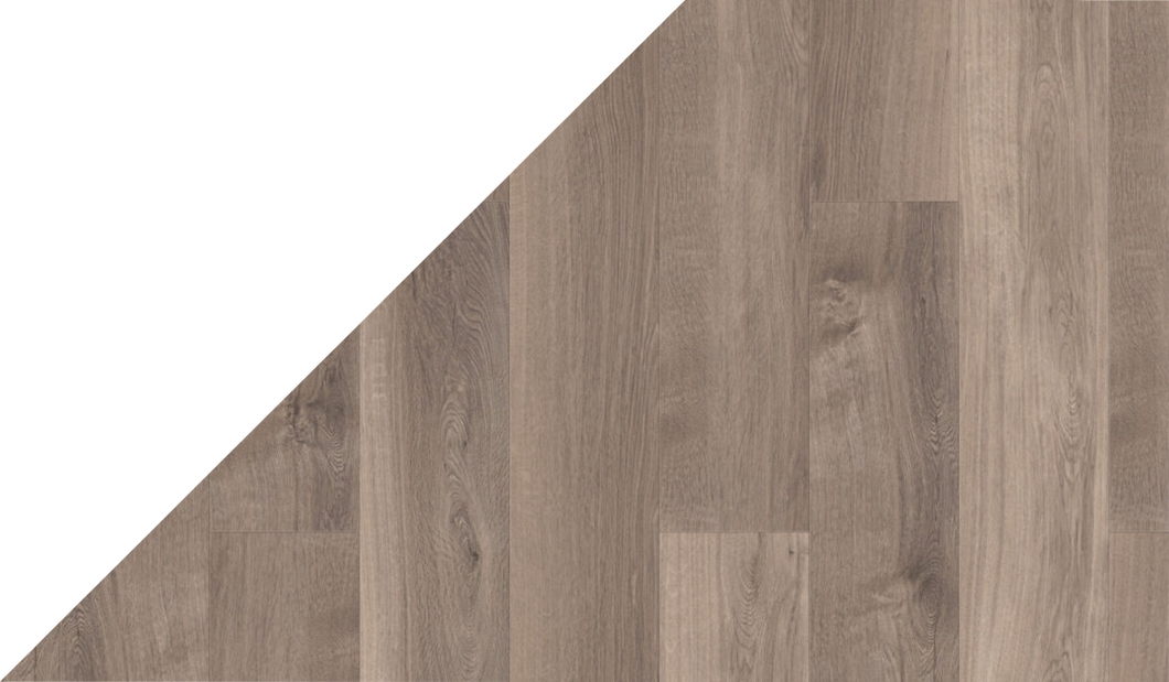 Mflor Broad Leaf Smoky Sycamore