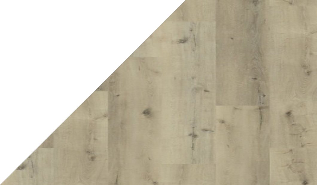 Gelasta Pure XL 8605