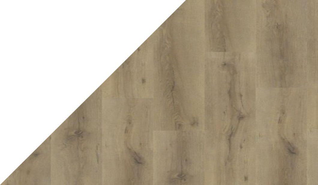 Gelasta Rigid Core XL 8707