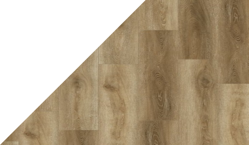 Gelasta Tenacity 1374