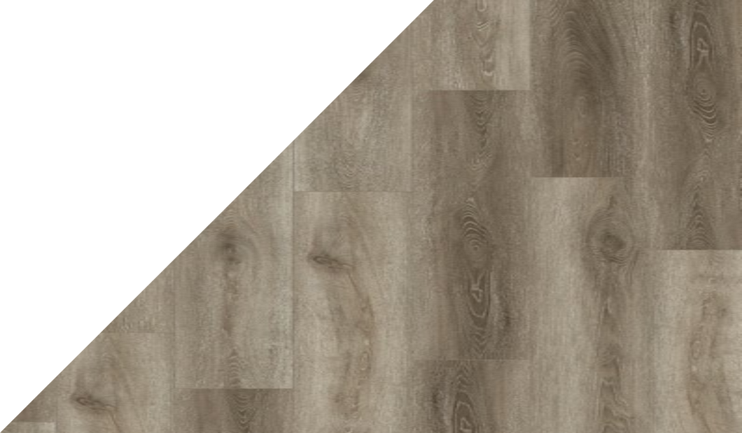 Gelasta Tenacity 1375